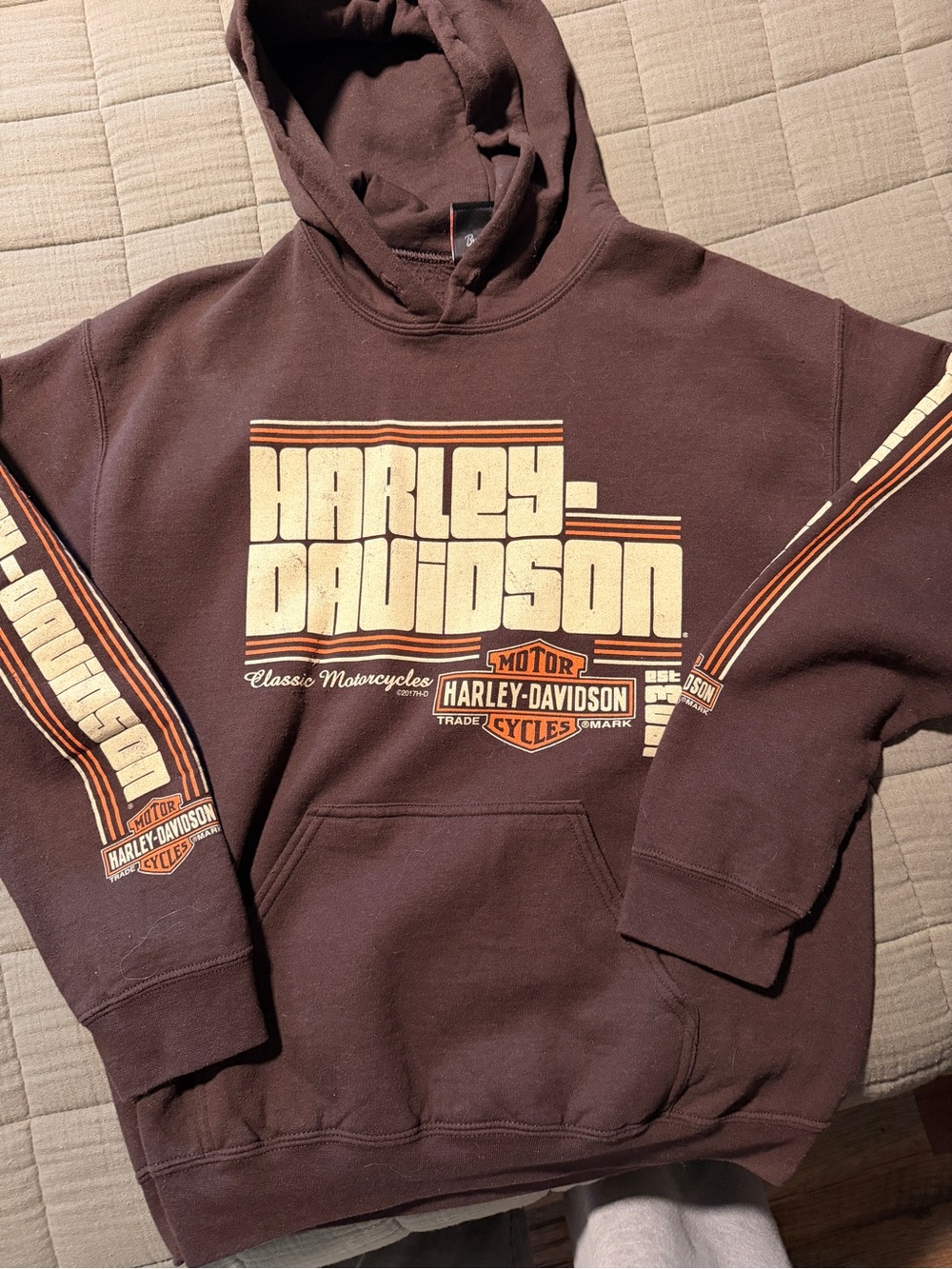 Harley-Davidson Brown Pullover Hoodie with Vintage Logo - Vacaville Iron Steed